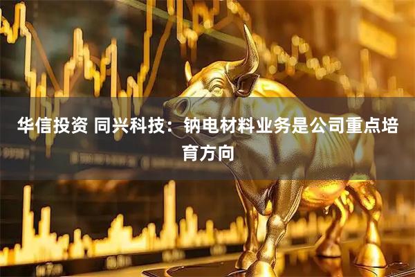 华信投资 同兴科技：钠电材料业务是公司重点培育方向