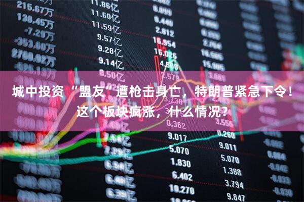 城中投资 “盟友”遭枪击身亡，特朗普紧急下令！这个板块疯涨，什么情况？