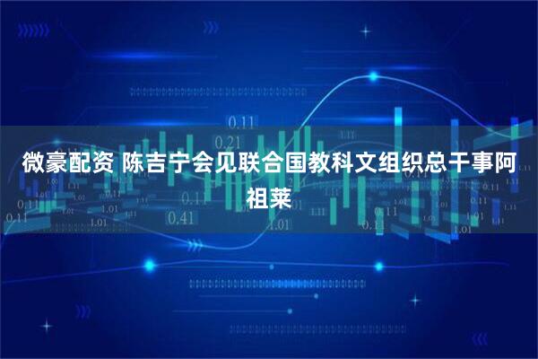 微豪配资 陈吉宁会见联合国教科文组织总干事阿祖莱