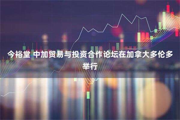 今裕堂 中加贸易与投资合作论坛在加拿大多伦多举行